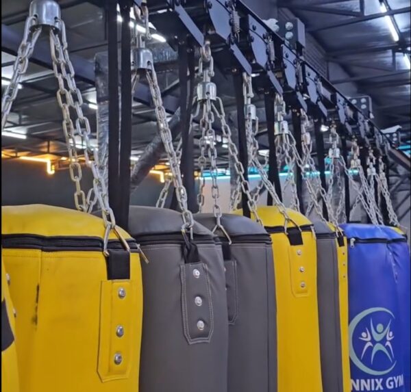 boxing-bags-lennix-gym