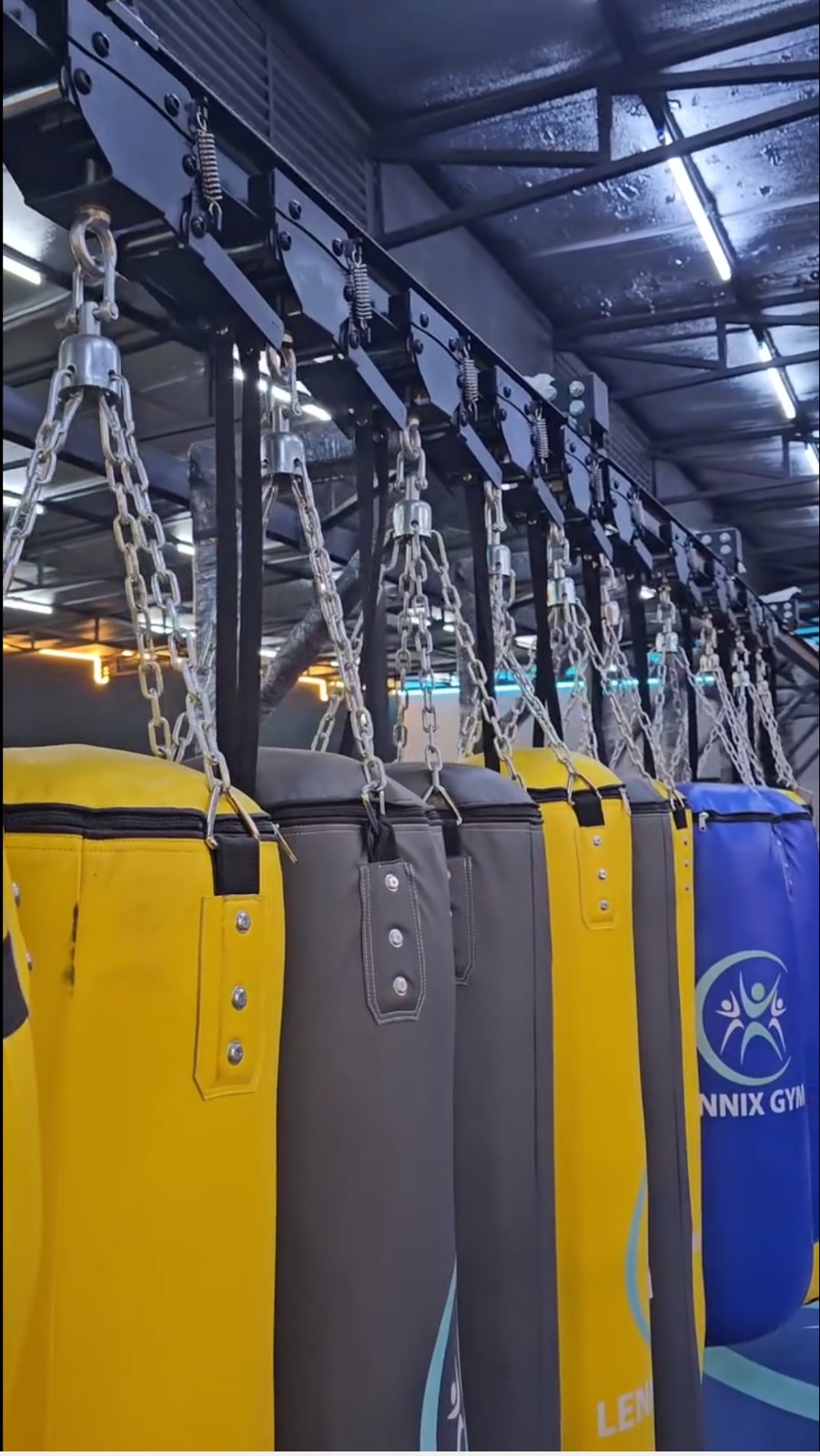 boxing-bags-lennix-gym